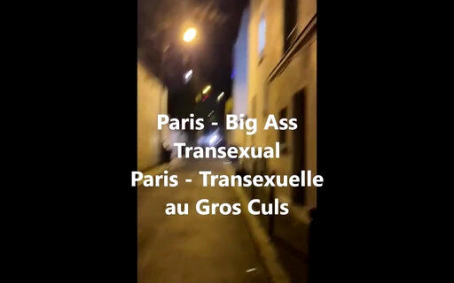 Paris By Night Fucking Tattoed Big Booty Transexual xhH