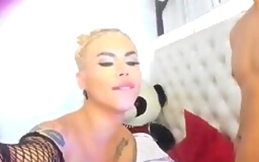 Shemale Gives Her BF A Nice BJ