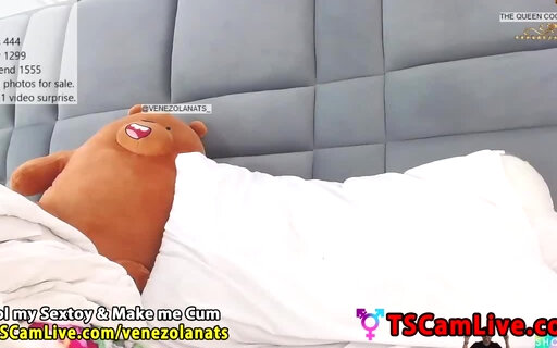 Damn Hot Big Shafted Latina TGirl on Webcam