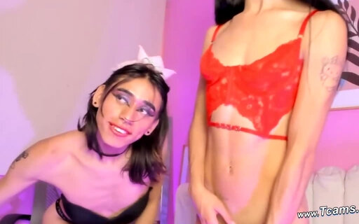 This two hot petite tranny teasing their viewers
