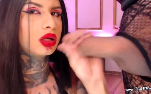 Perfect blowjob by horny trans